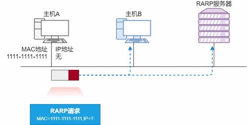 36張圖詳解ARP 網絡世界沒有我，你哪也別想去